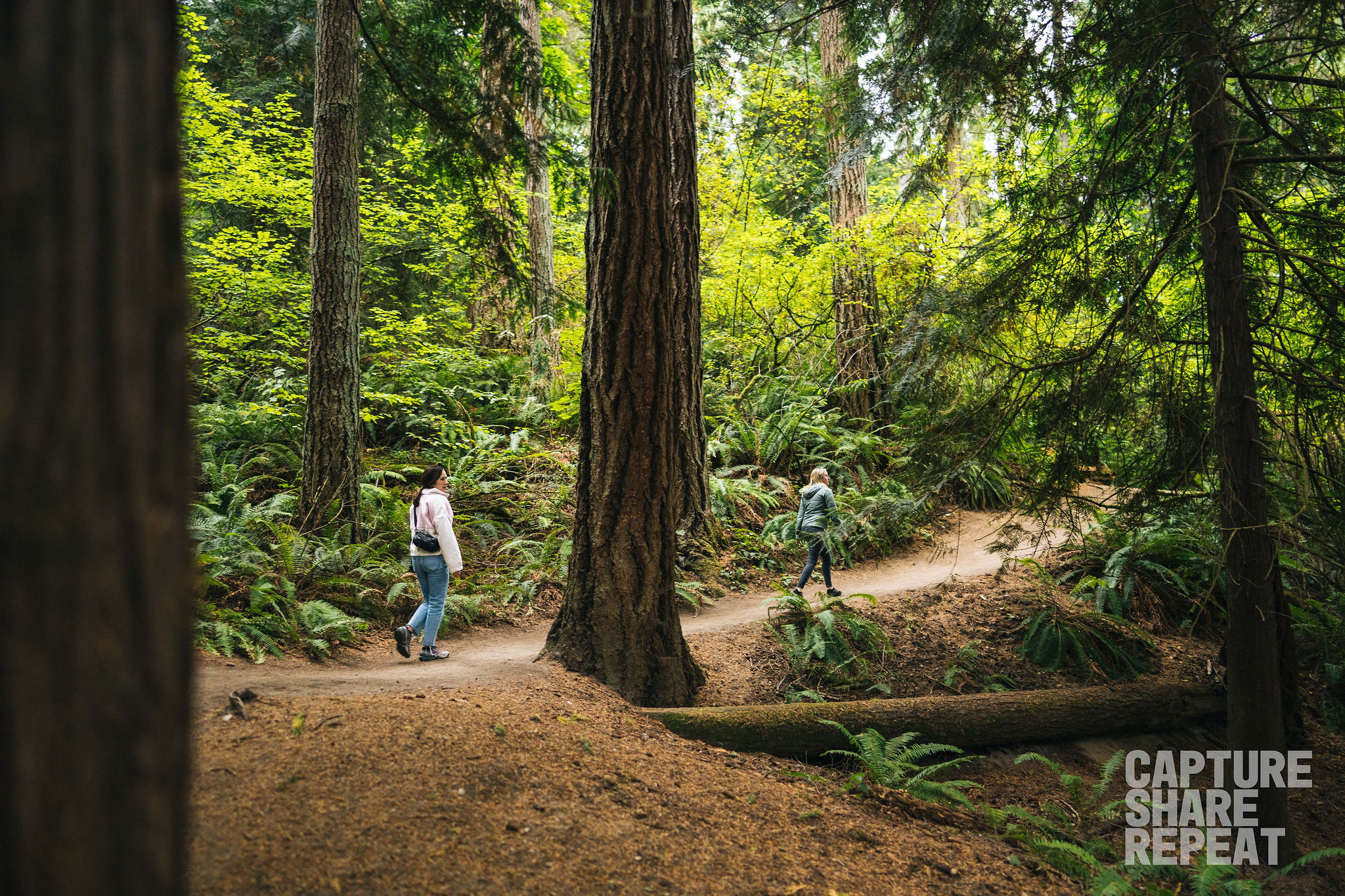 Two women hiking on a wooded path. Large evergreen trees surrounding them.