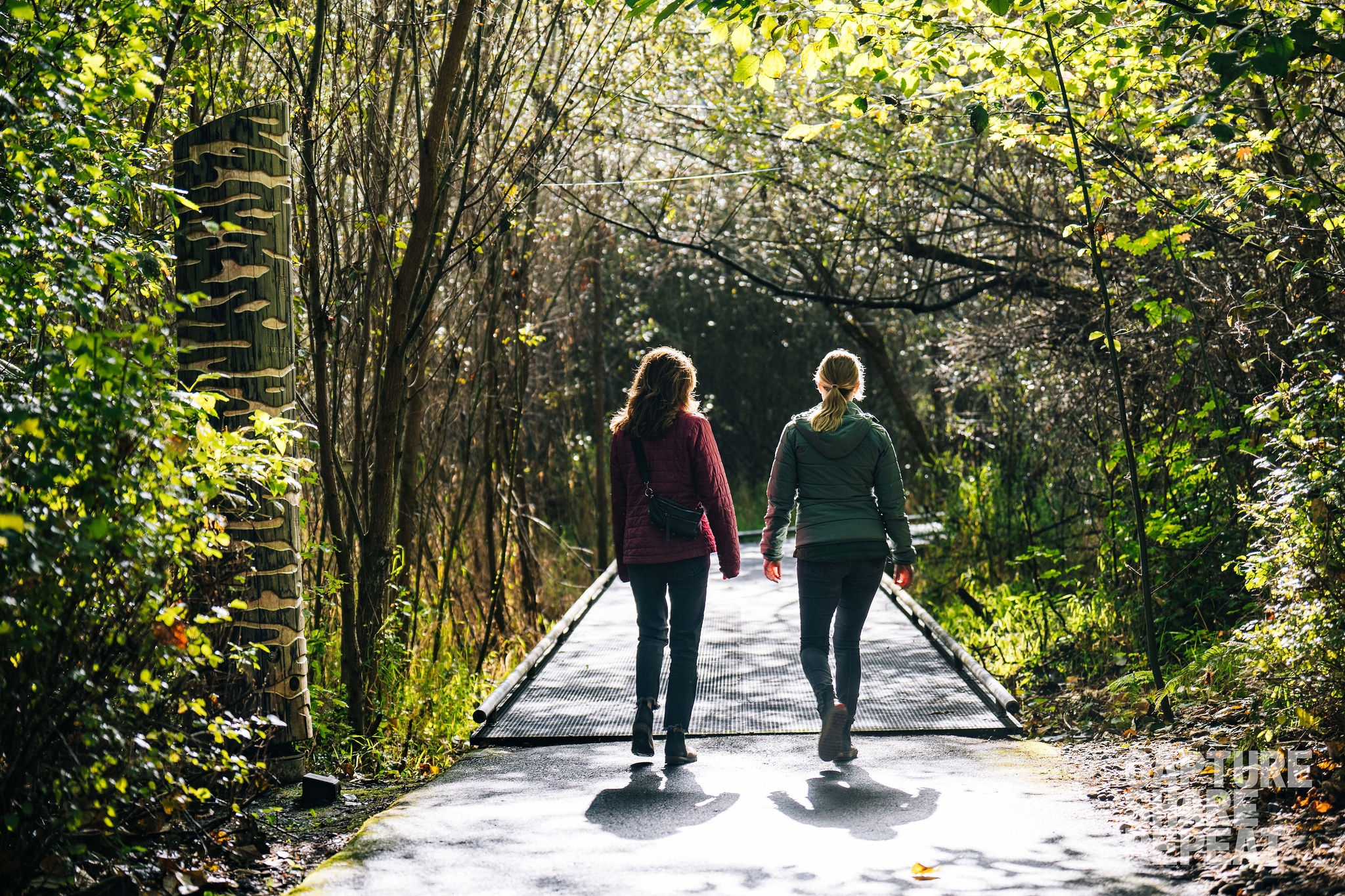 Two women walking on a boardwalk with trees on both sides.