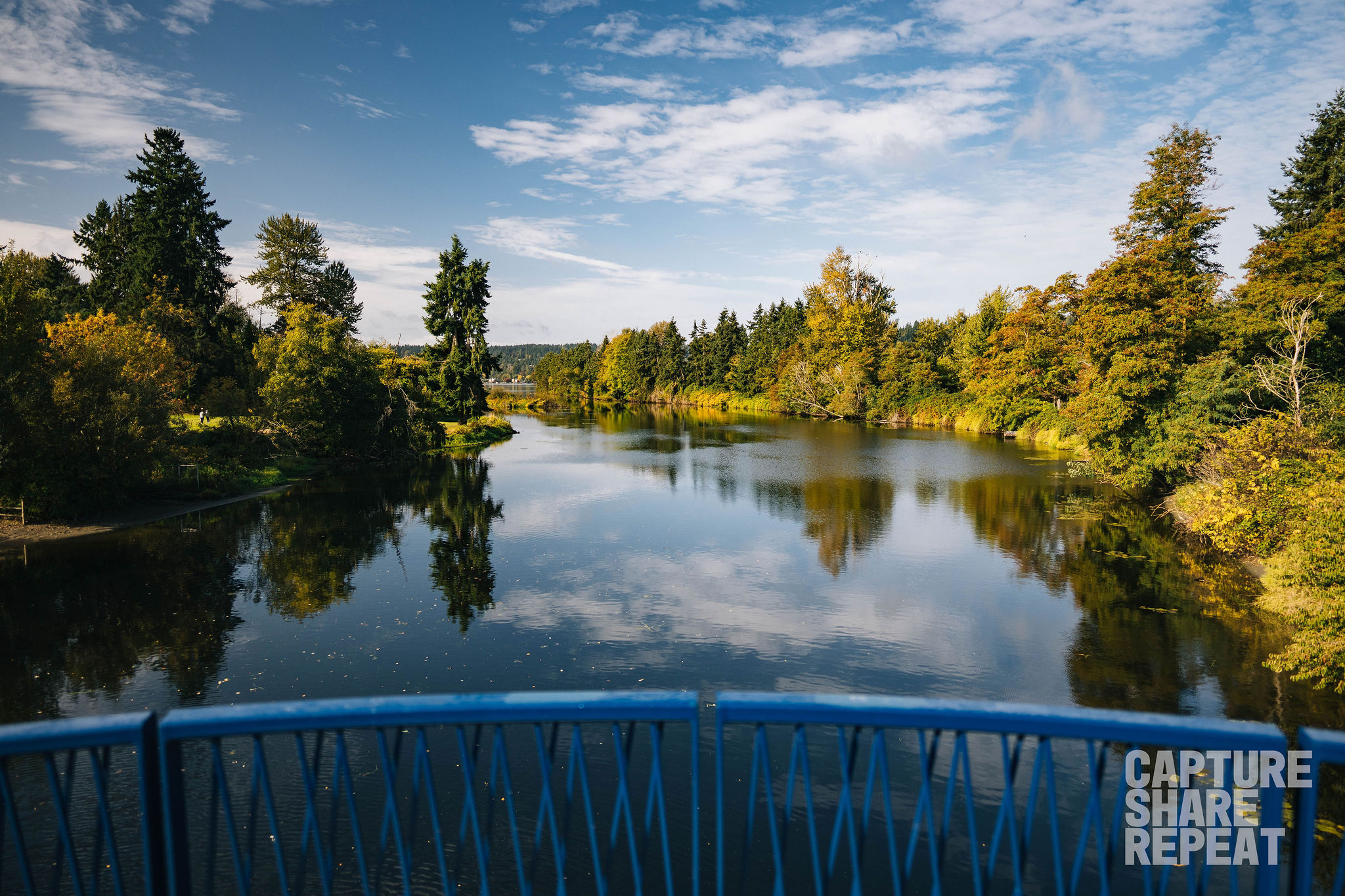 Scenic view of river from a bridge.