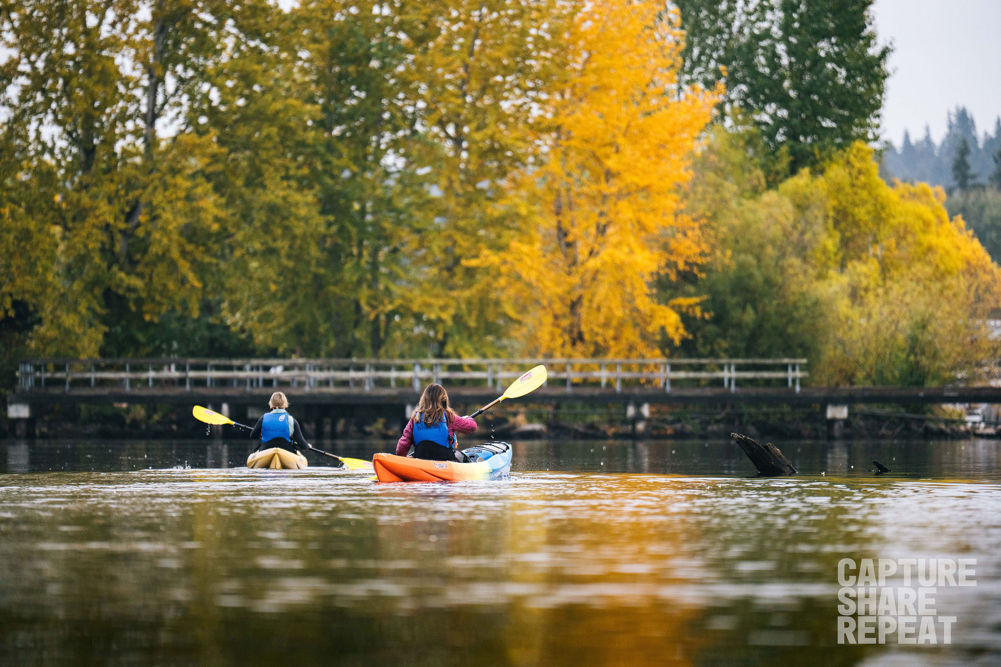 Two kayakers paddling on the lake with fall foliage on the shoreline.
