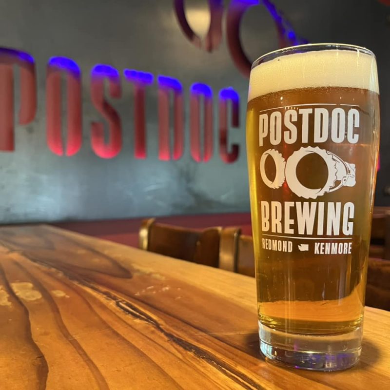 Beer pint filled with beer placed on a counter